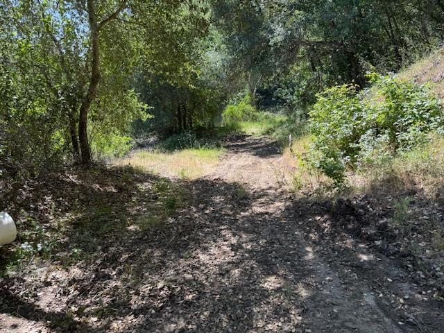 14056 Uvas Road Morgan Hill, CA 95037 - Photo 11 of 24