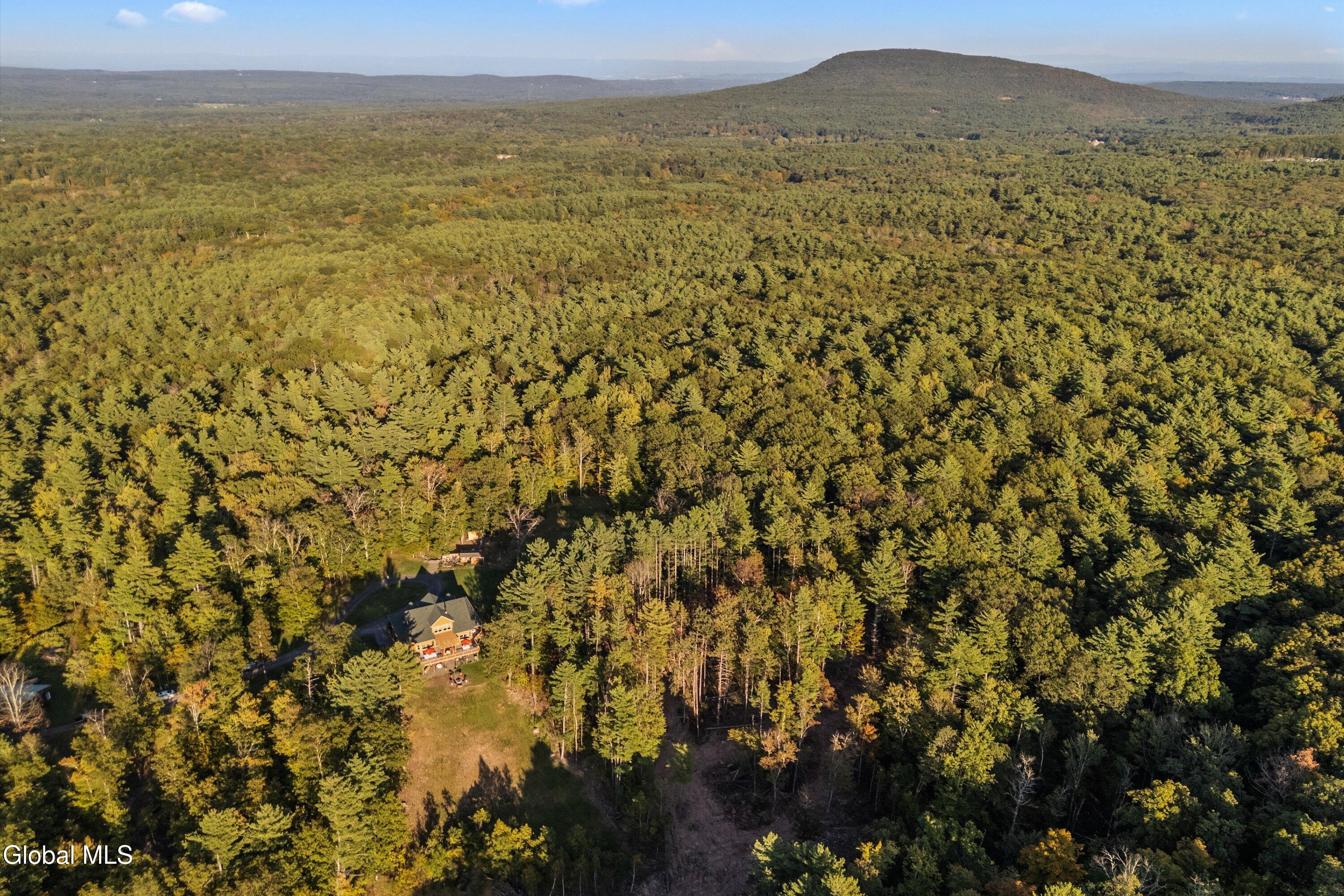 330 Bald Hills Road North Cairo, NY 12473 - Photo 30 of 33 330 N Bald Hills Rd