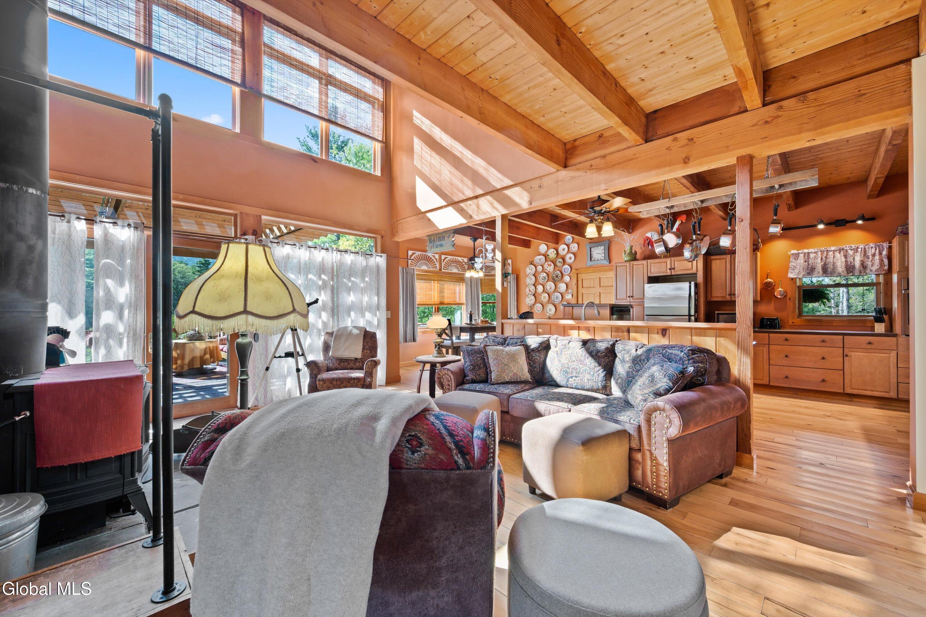 330 Bald Hills Road North Cairo, NY 12473 - Photo 5 of 33 Livng Room