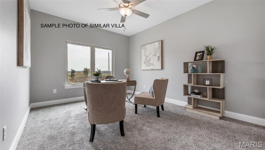 2411 Sunset Ridge Drive Columbia, IL 62236 - Photo 21 of 43