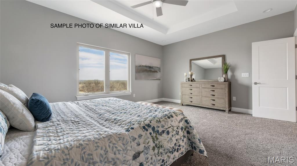 2411 Sunset Ridge Drive Columbia, IL 62236 - Photo 25 of 43