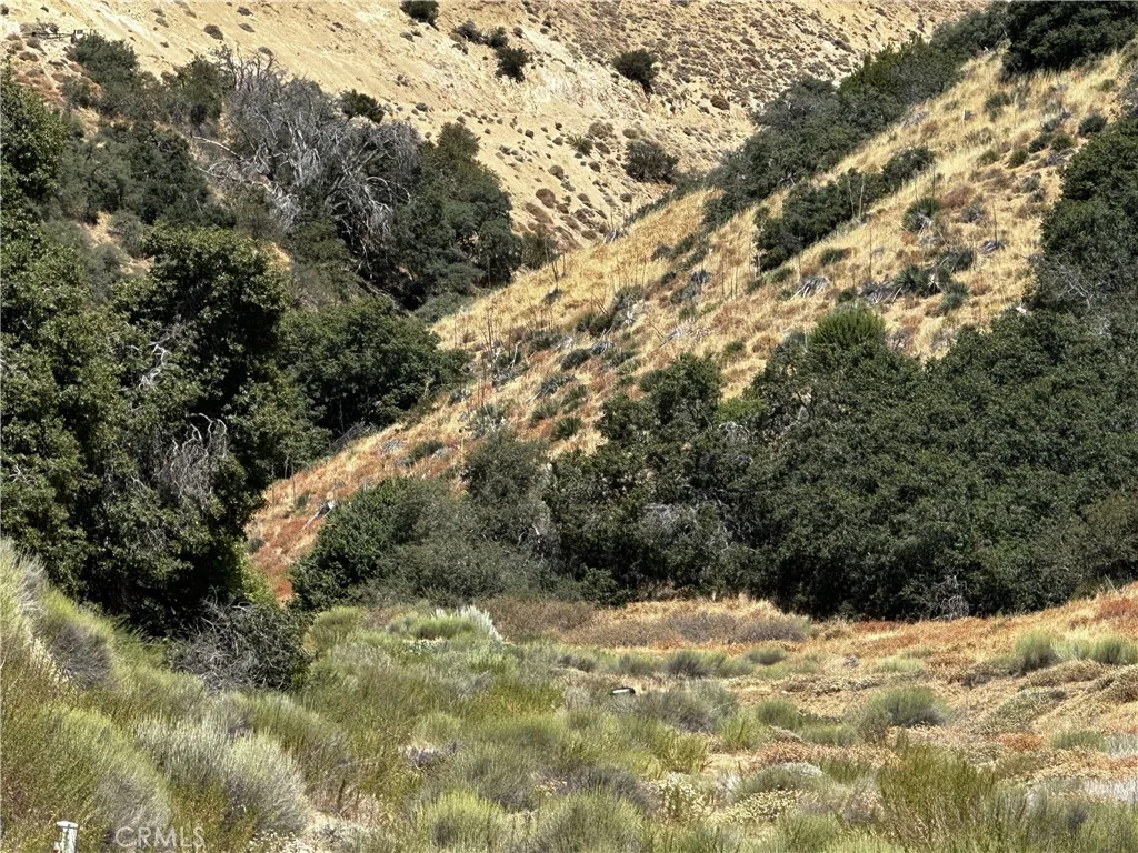 6 Chimney Canyon Road Lebec, CA 93243 - Photo 7 of 12 a view of a yard covered in snow