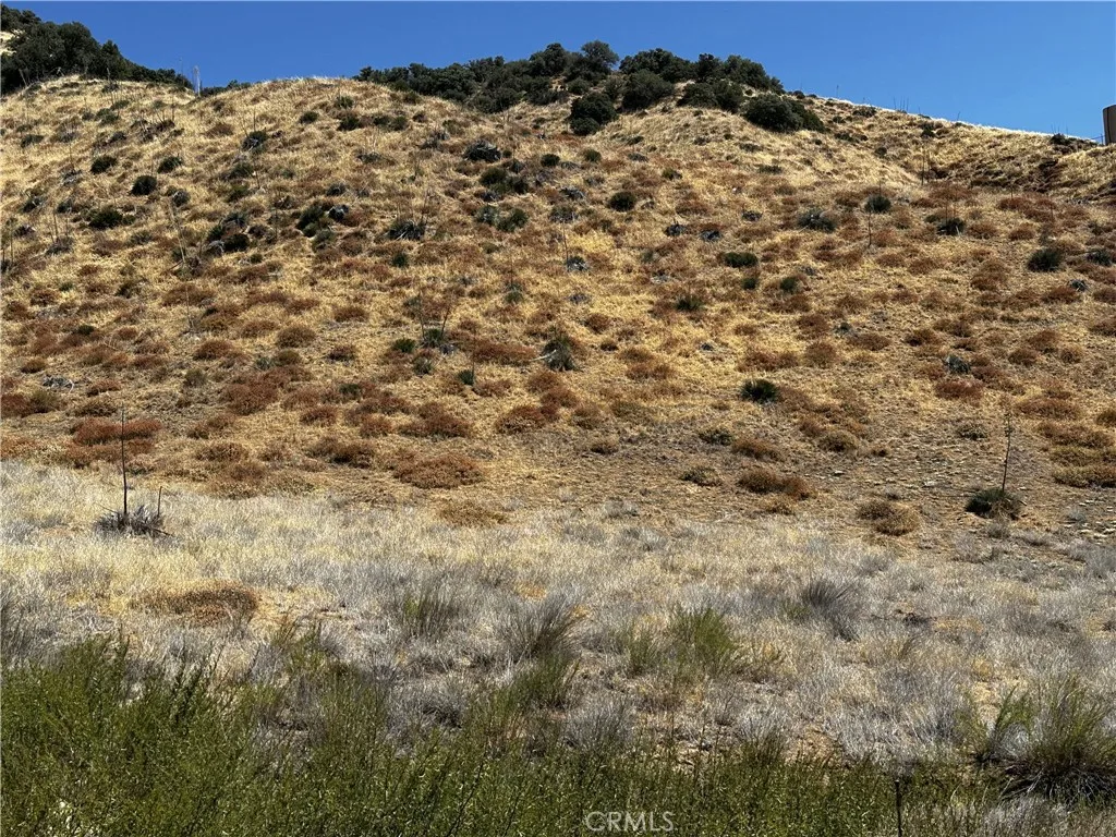 6 Chimney Canyon Road Lebec, CA 93243 - Photo 8 of 12 a view of a yard with a snow