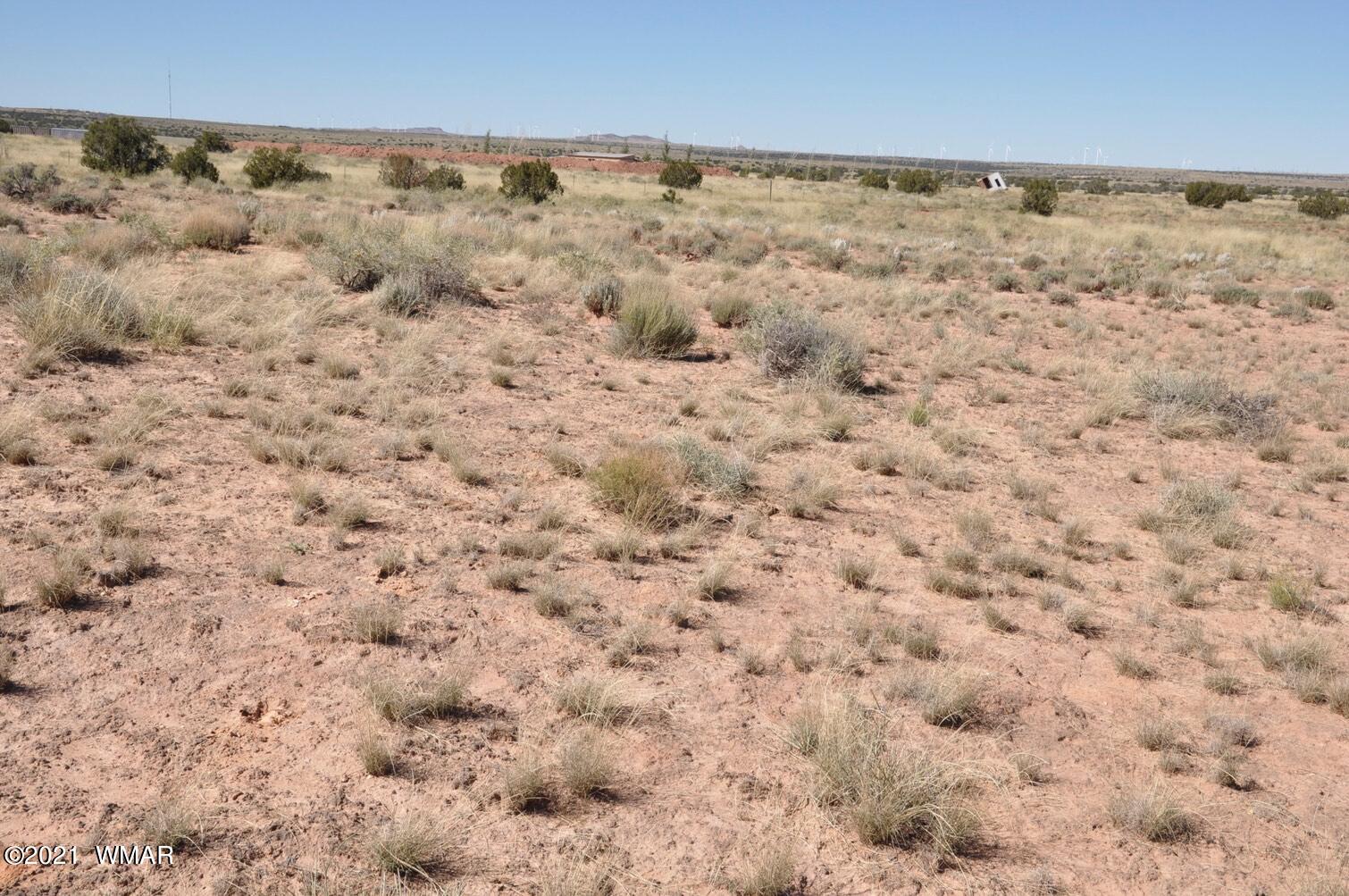567 Rae Trail Snowflake, AZ 85937 - Photo 20 of 22