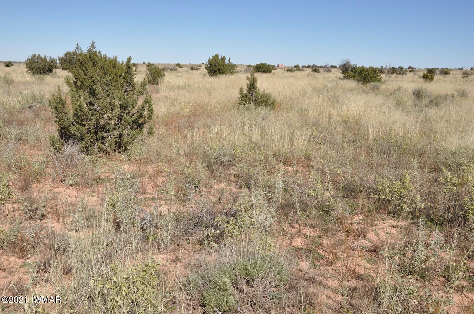 567 Rae Trail Snowflake, AZ 85937 - Photo 6 of 22