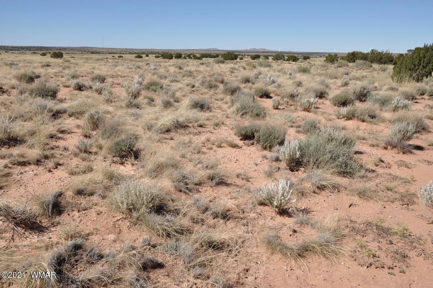 567 Rae Trail Snowflake, AZ 85937 - Photo 7 of 22