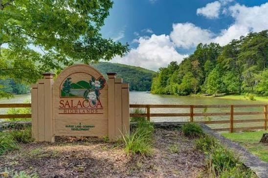 a view of a bench in a garden
