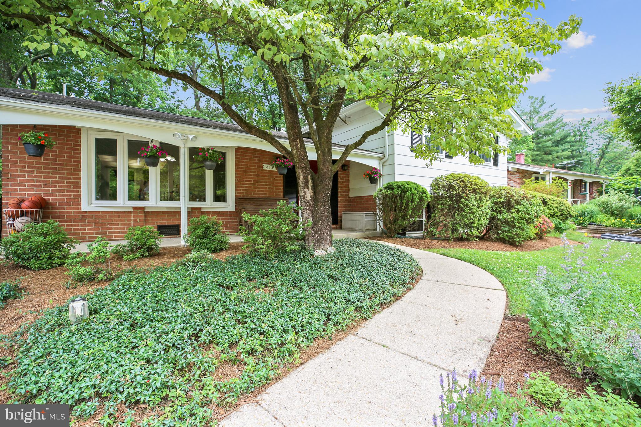 812 Kersey Road Silver Spring, MD 20902 - Photo 2 of 30 Front Walkway