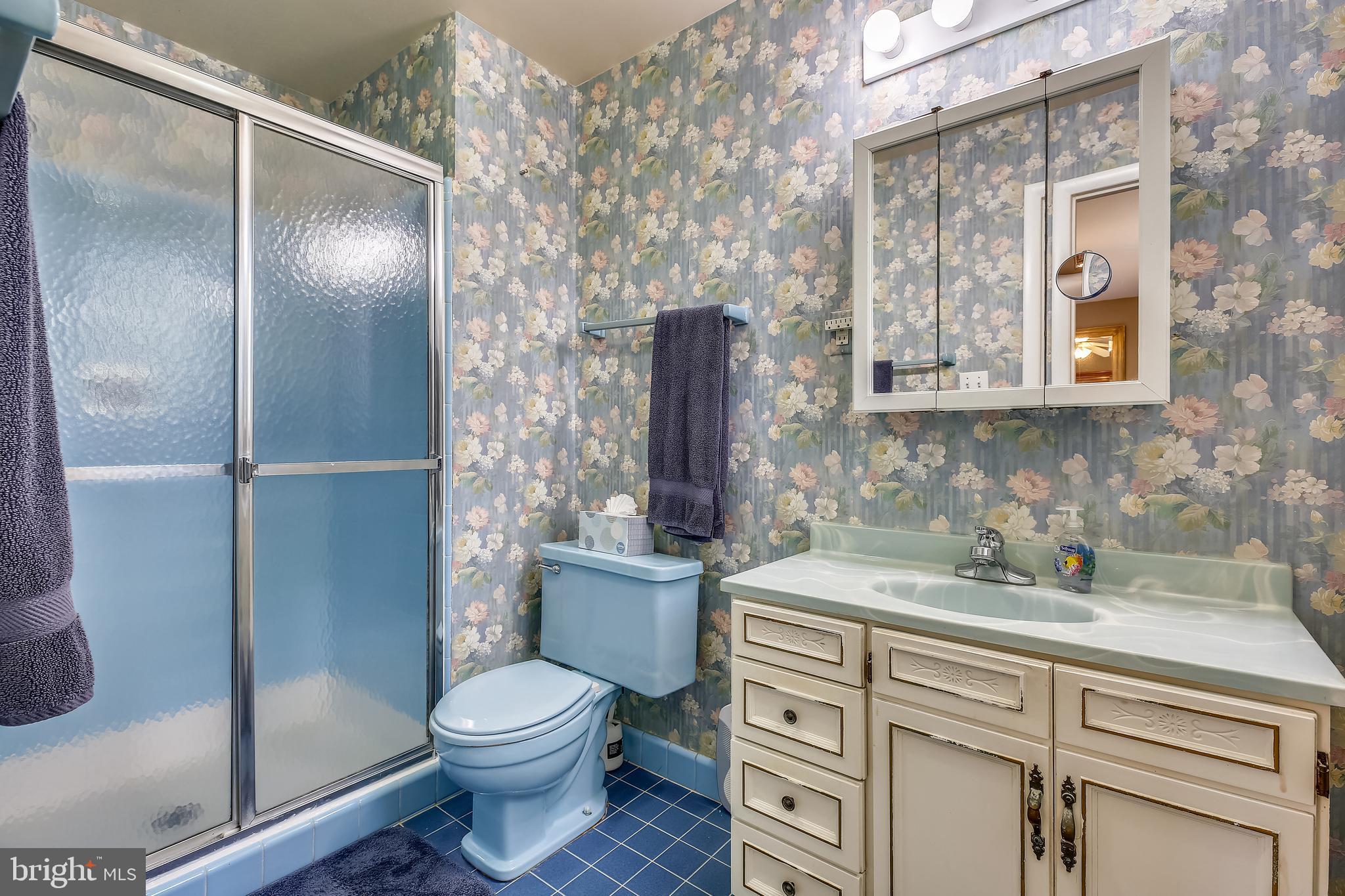 812 Kersey Road Silver Spring, MD 20902 - Photo 16 of 30 Primary Bathroom