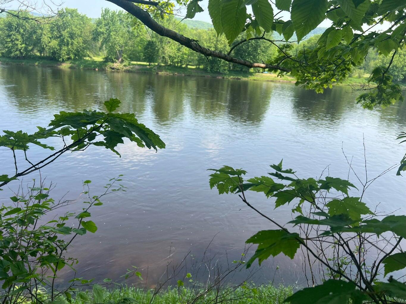 1472 Intervale Road Bethel, ME 04217 - Photo 52 of 65 20250605151648773992000000-o