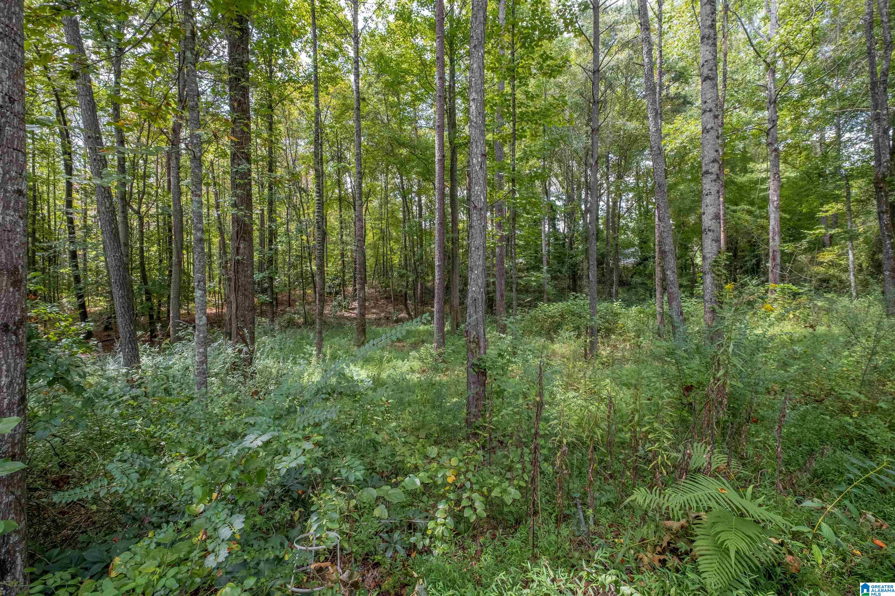 1100 Bells Mill Road Heflin, AL 36264 - Photo 37 of 51