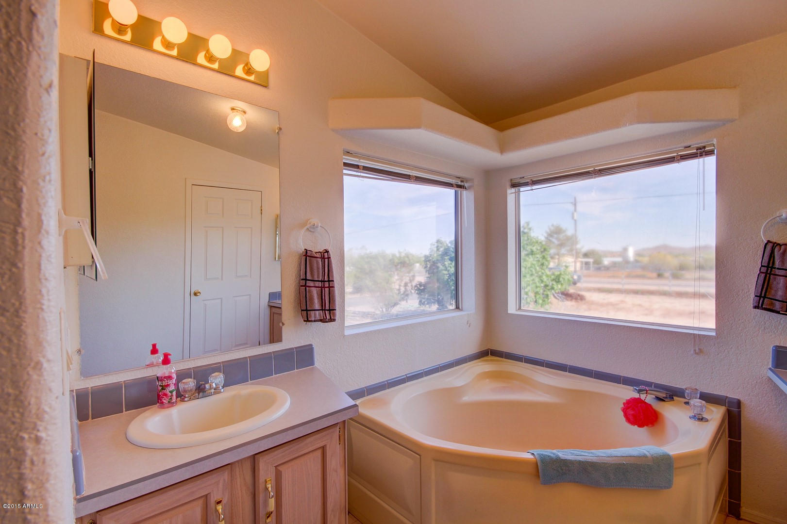 1628 West Joy Ranch Road Phoenix, AZ 85086 - Photo 46 of 48 Joy Ranch (46)