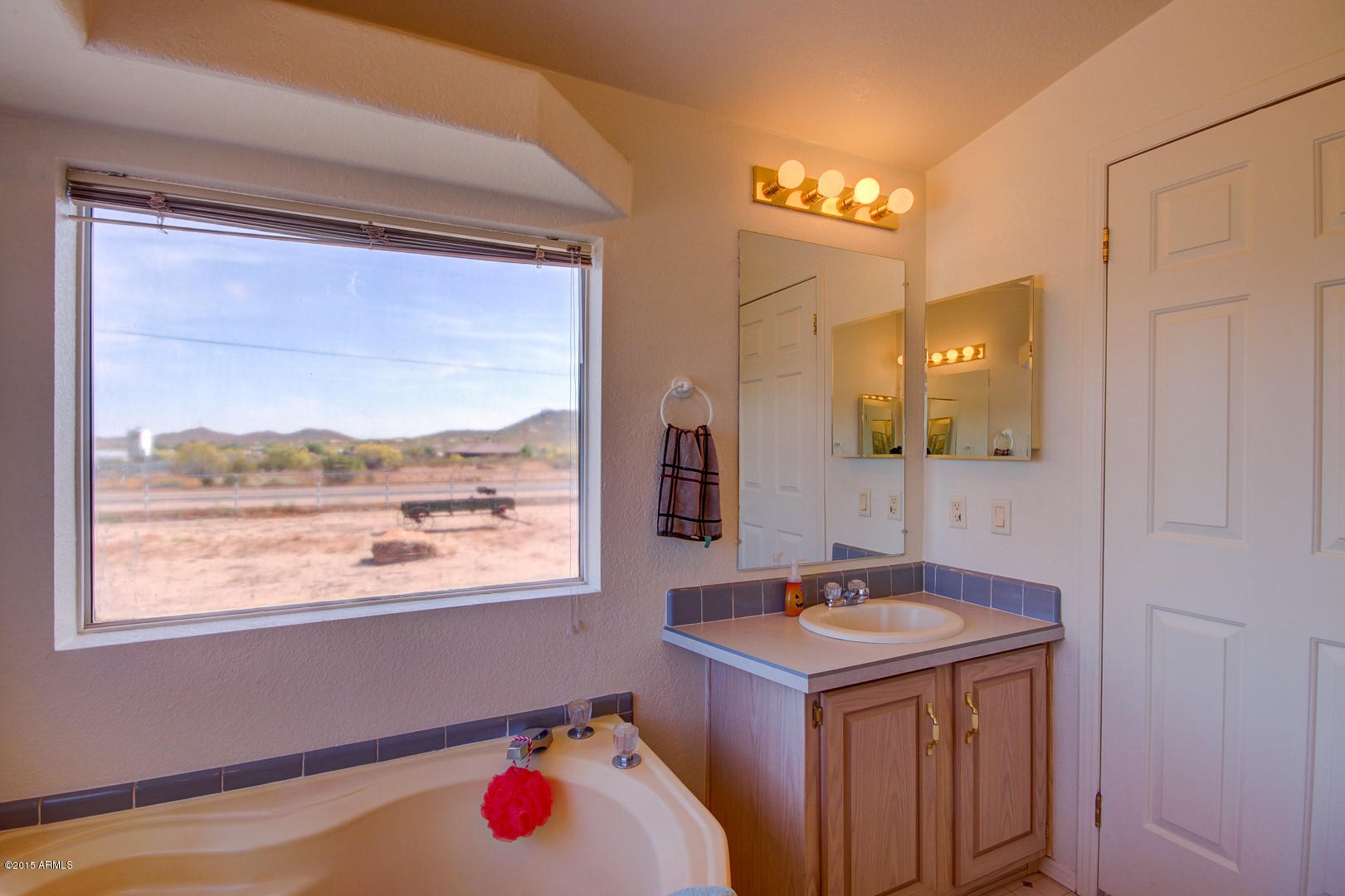 1628 West Joy Ranch Road Phoenix, AZ 85086 - Photo 47 of 48 Joy Ranch (47)