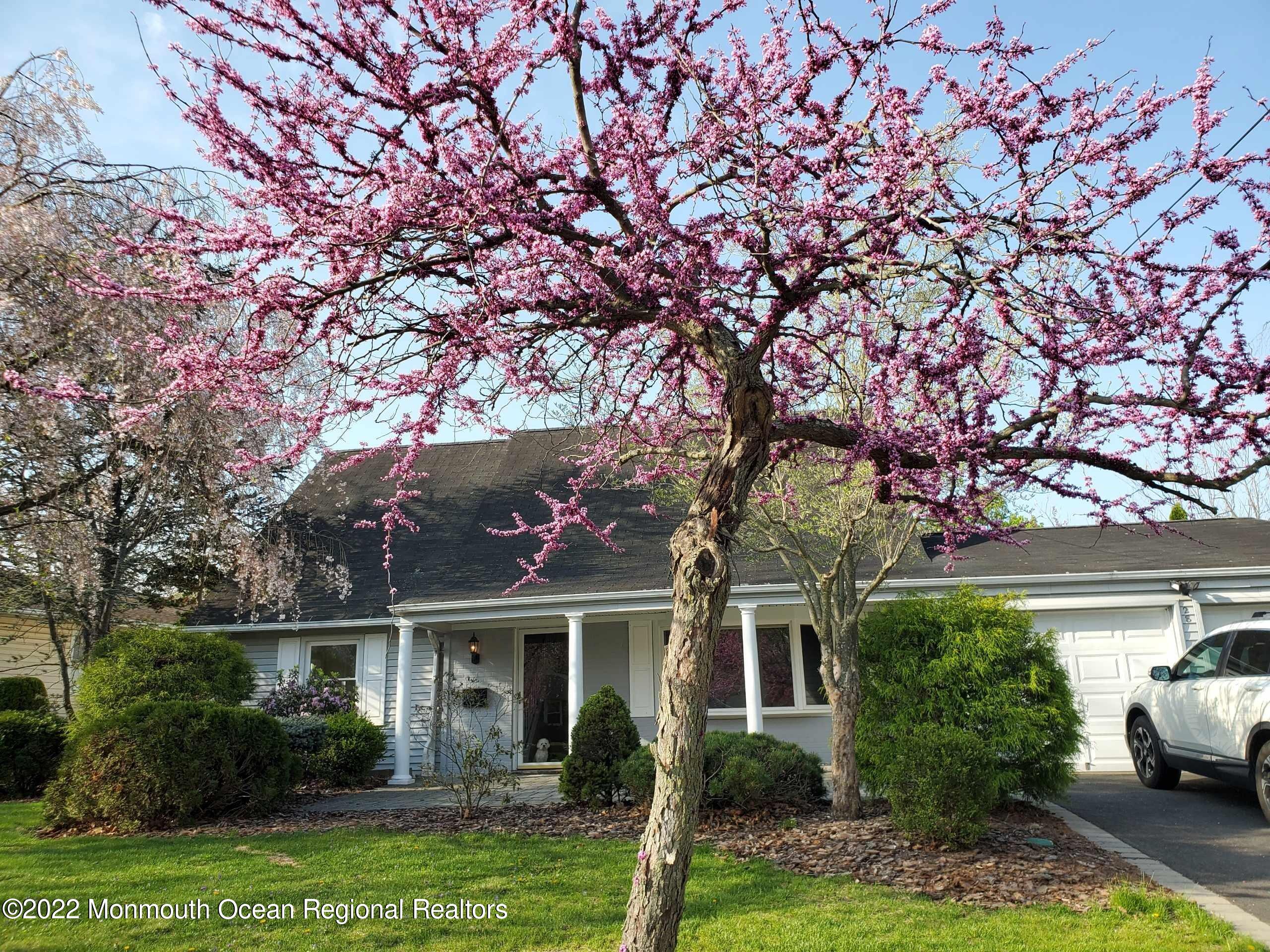 28 Indiana Road Somerset, NJ 08873 - Photo 3 of 63 28 Indiana Rd Somerset NJ