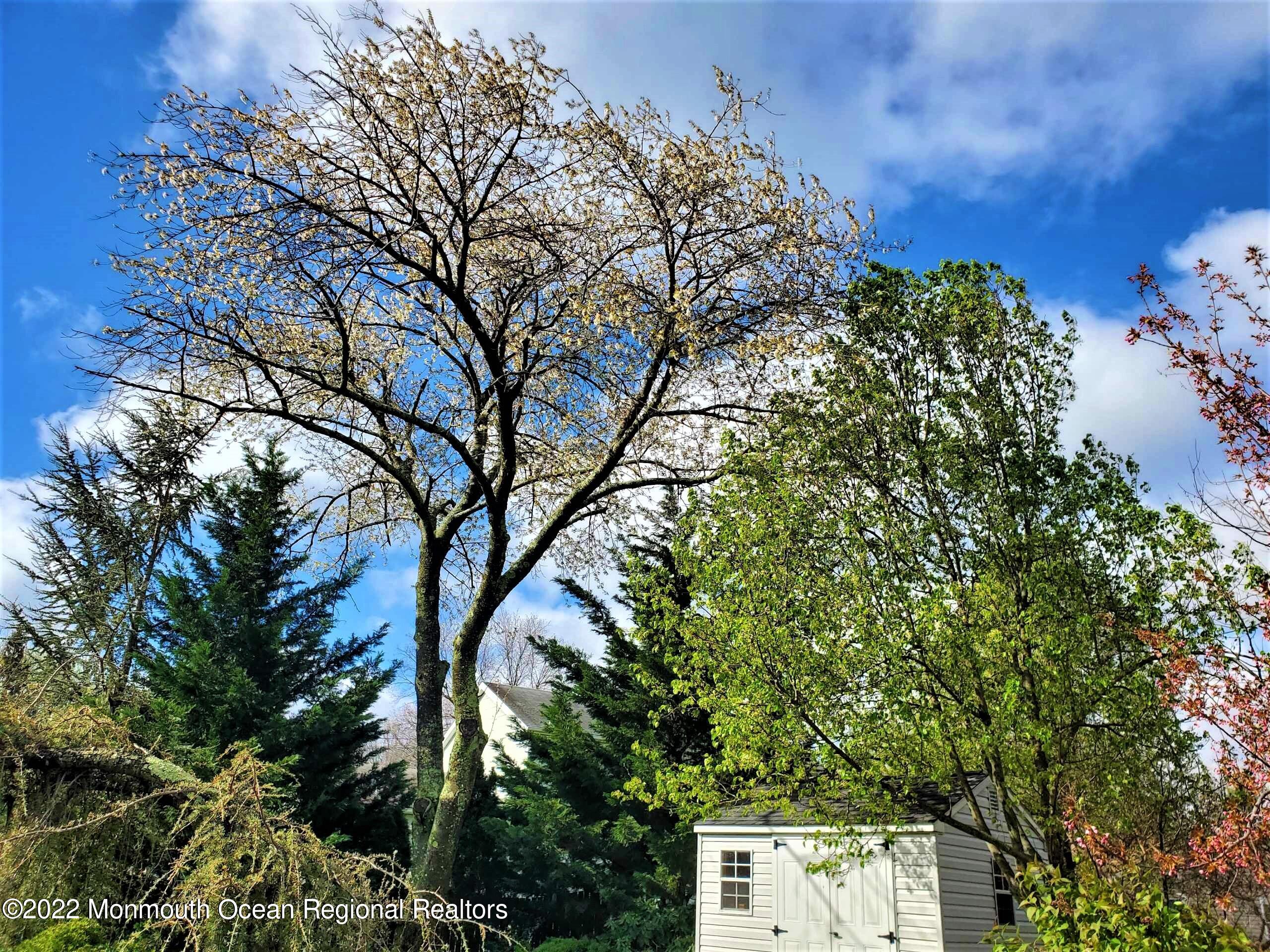 28 Indiana Road Somerset, NJ 08873 - Photo 58 of 63 mature trees