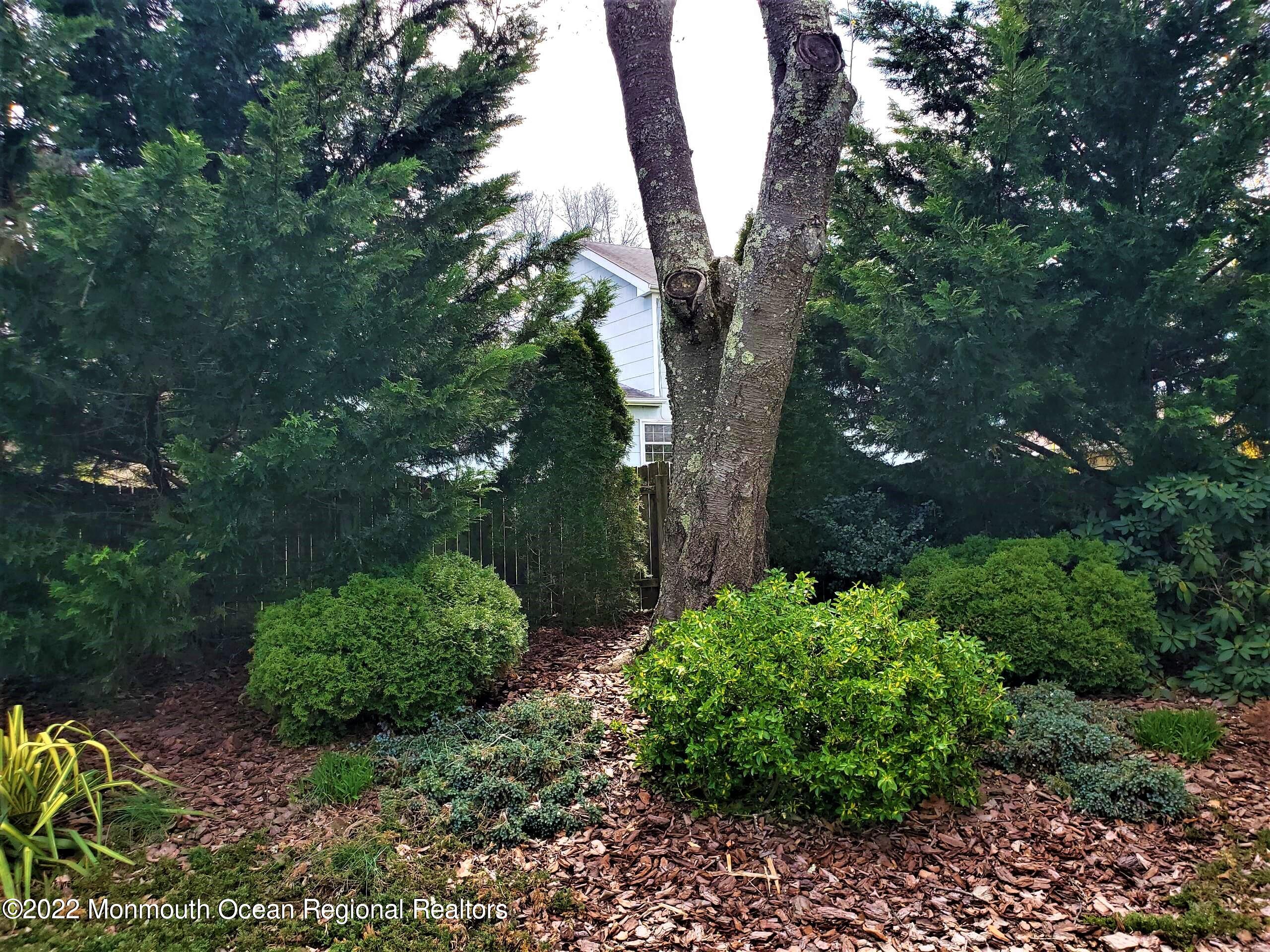 28 Indiana Road Somerset, NJ 08873 - Photo 59 of 63 rear yard