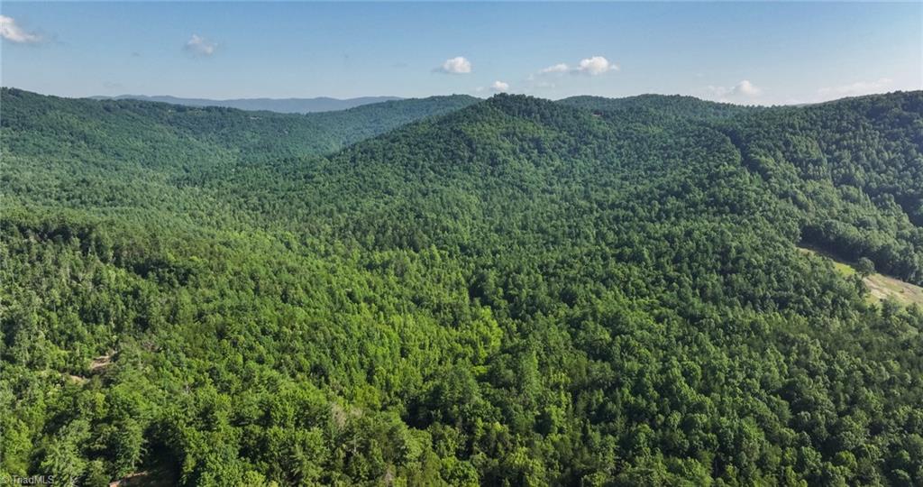 0 Boone Trail Purlear, NC 28665 - Photo 31 of 40 Gallery Image 31