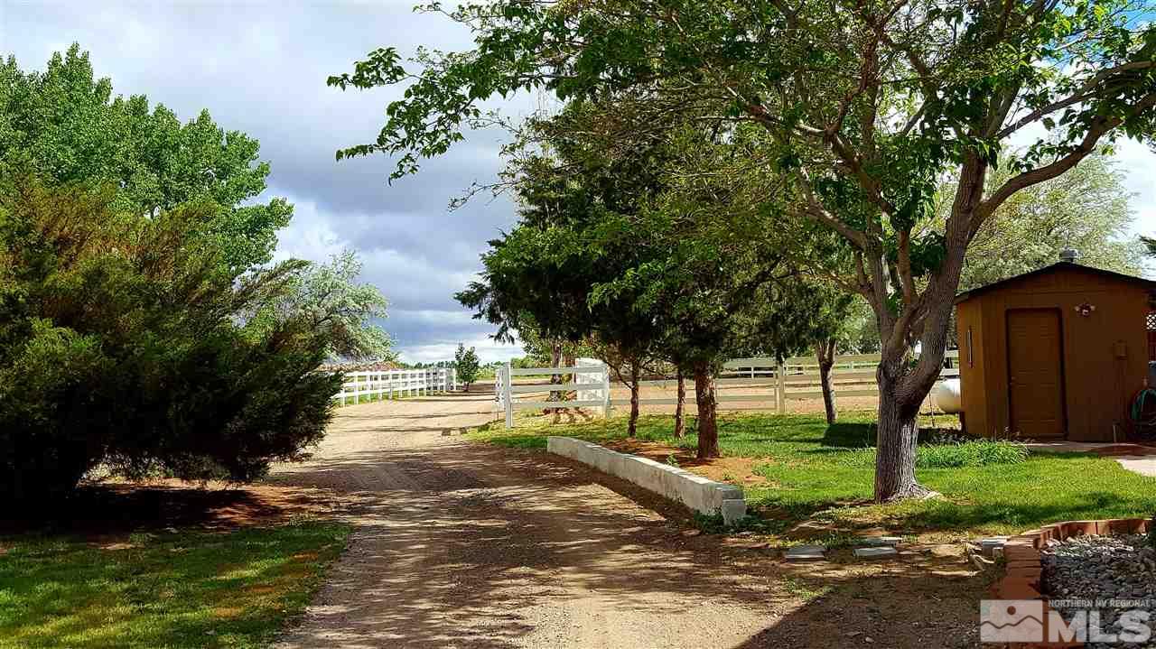 2170 Soda Lake Road Fallon, NV 89406 - Photo 17 of 25 a view of a yard with plants and large trees