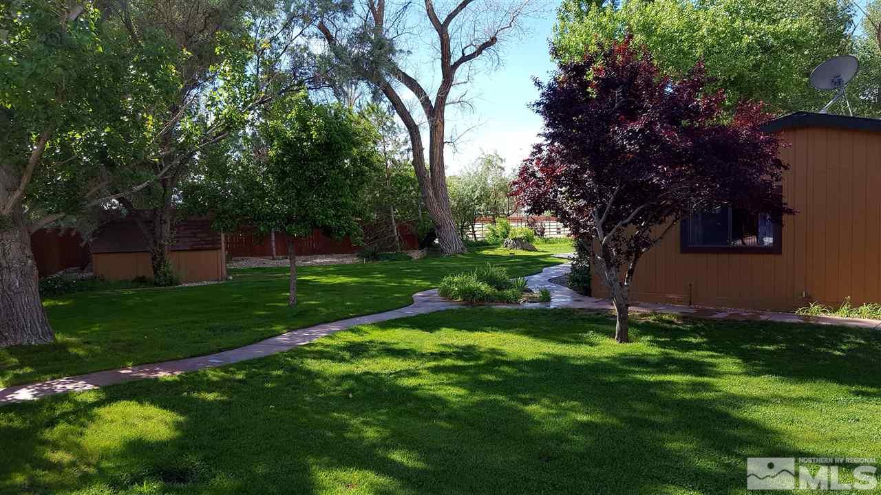 2170 Soda Lake Road Fallon, NV 89406 - Photo 18 of 25 a view of a backyard with a tree