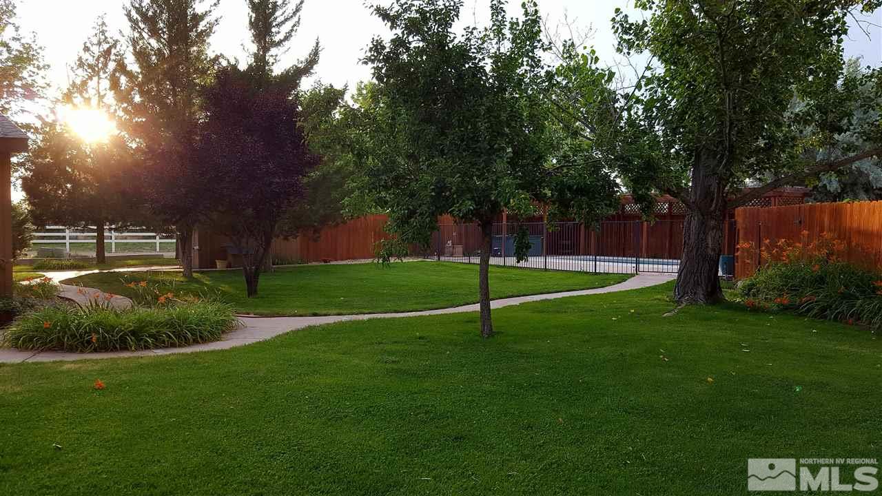 2170 Soda Lake Road Fallon, NV 89406 - Photo 22 of 25 a view of a park with a tree