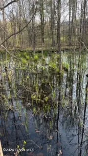 $36,500 | 6025 Gardner Road, Guilderland, NY 12009