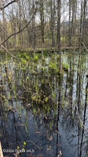 6025 Gardner Road Guilderland, NY 12009 - Photo 4 of 9 9