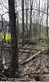$36,500 | 6025 Gardner Road, Altamont, NY 12009
