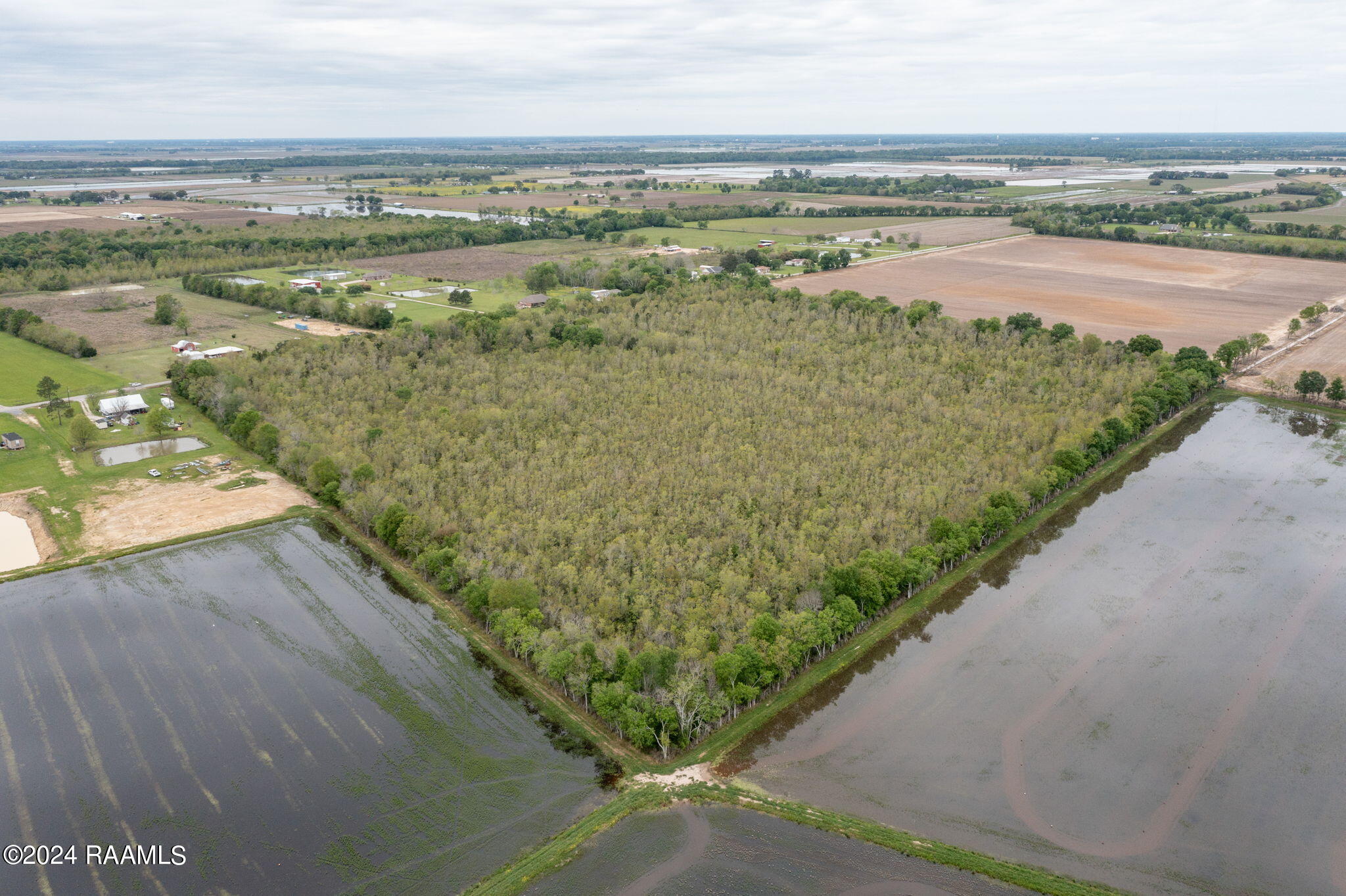 Tbd Hoffpauir Road Rayne, LA 70578 - Photo 5 of 6 4-web-or-mls-DJI_0748