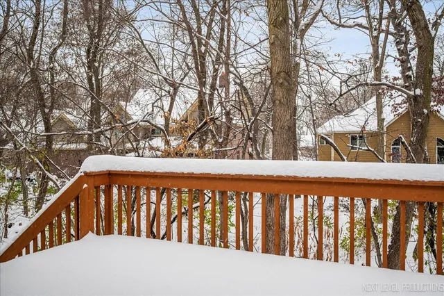 a view of a backyard with a large tree