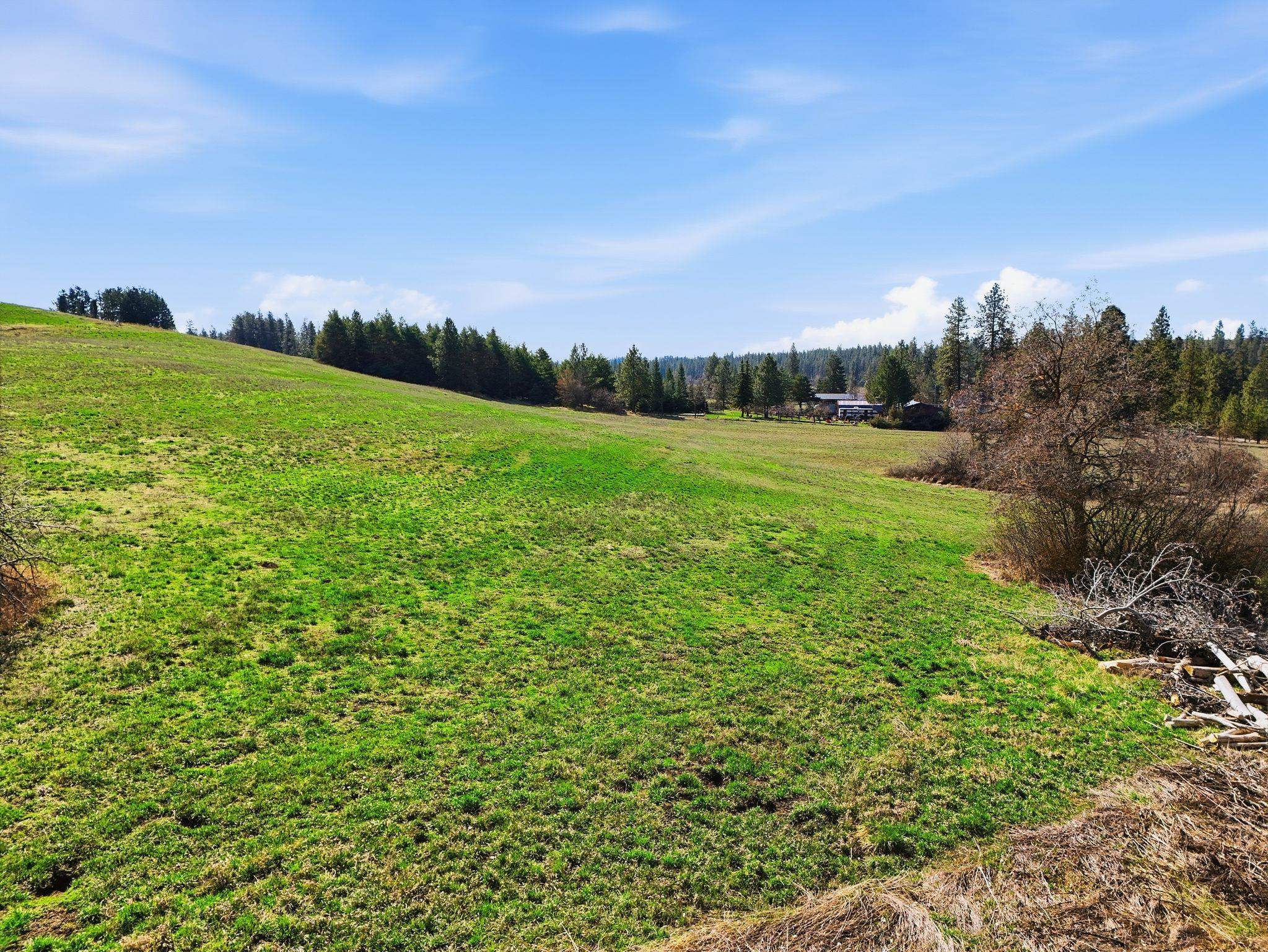 Nka West Hunt Road, Unit NKA W HUNT RD Cheney, WA 99004 - Photo 12 of 18