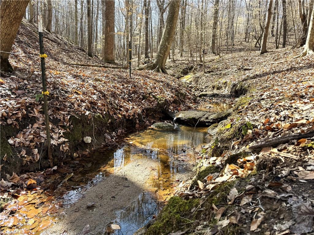463 Manley Farm Road Reidsville, NC 27320 - Photo 44 of 50 creek in the woods