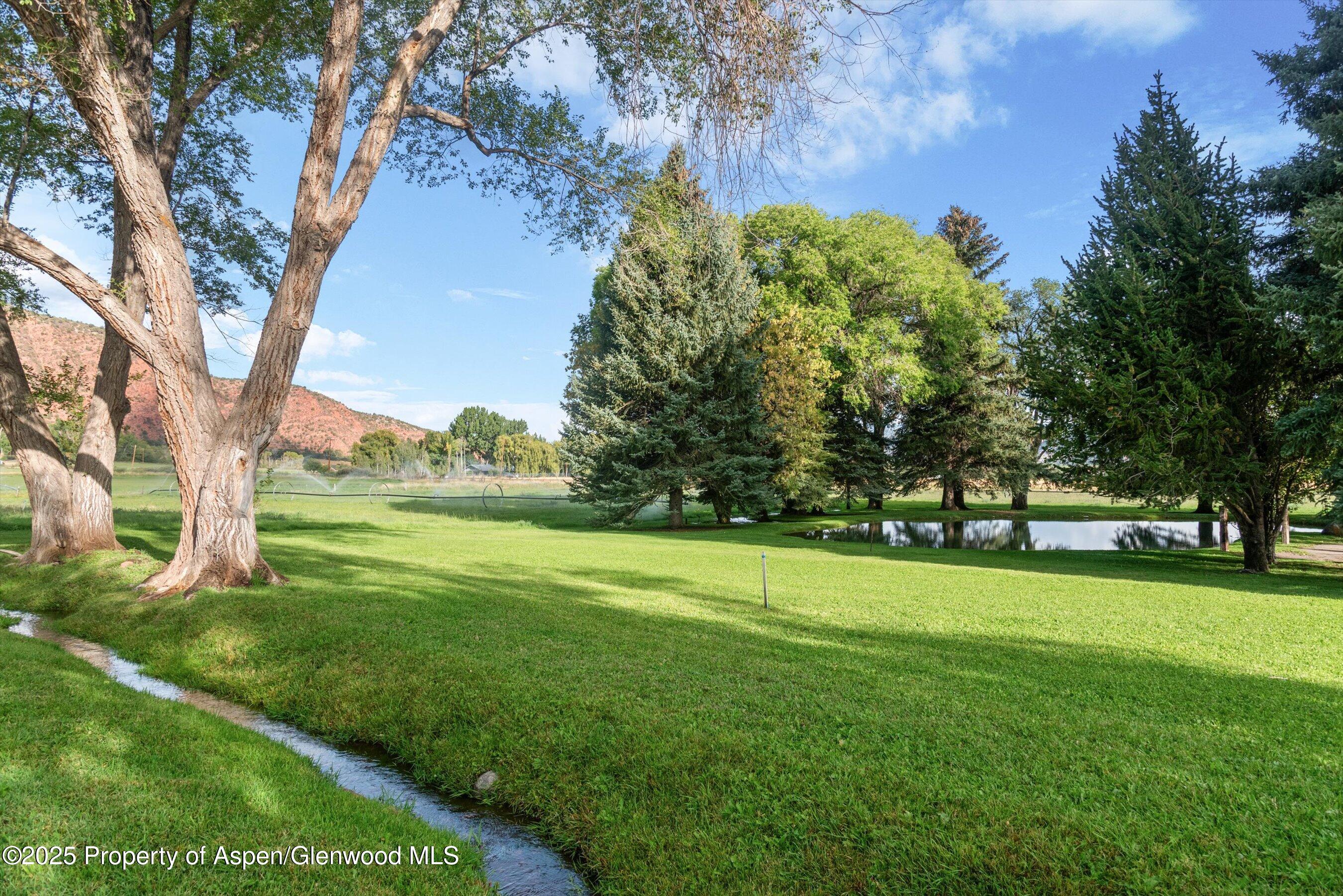 a view of a trees and grassy field