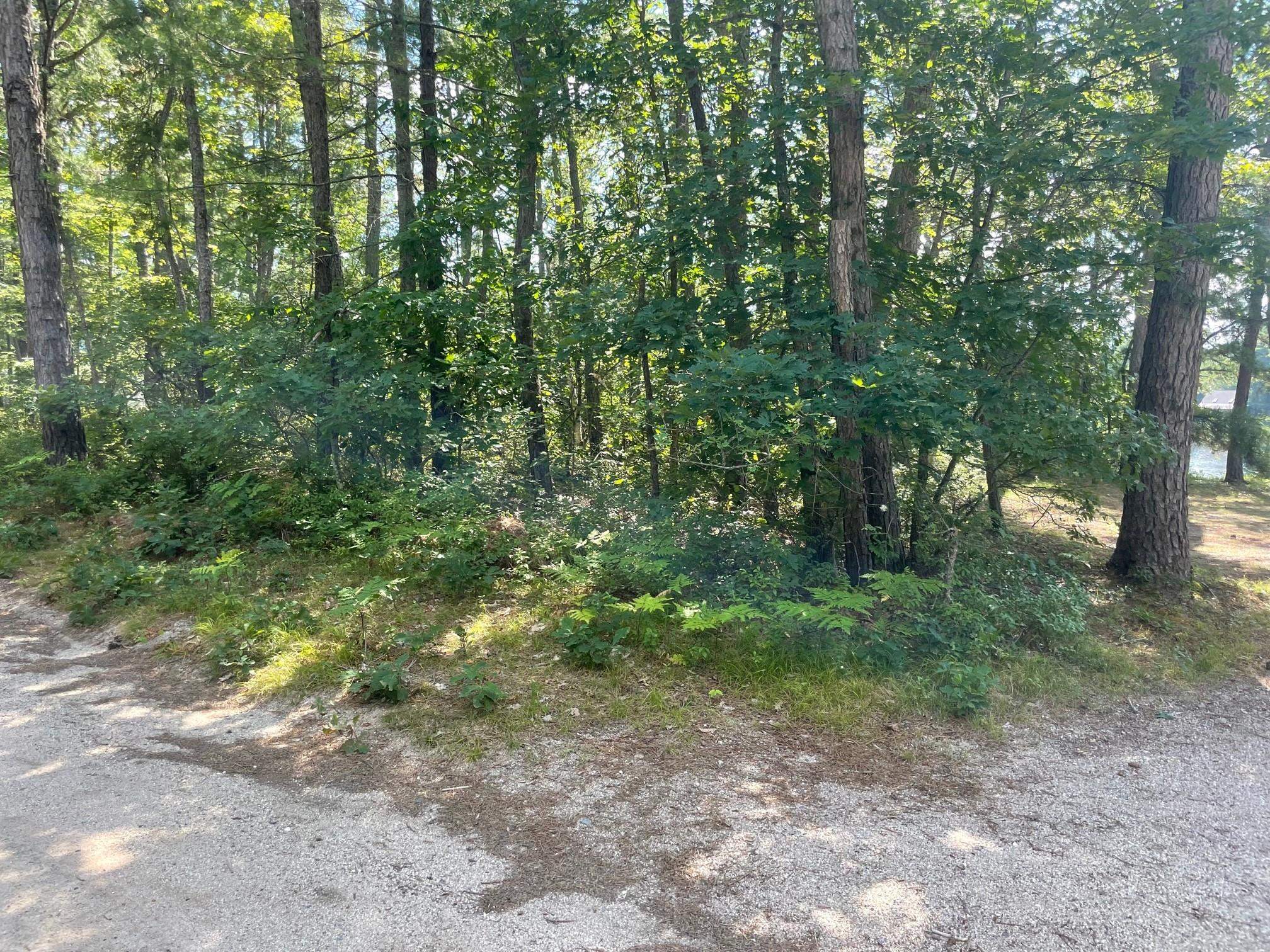 10-01 West Bay Road Freedom, NH 03836 - Photo 5 of 9