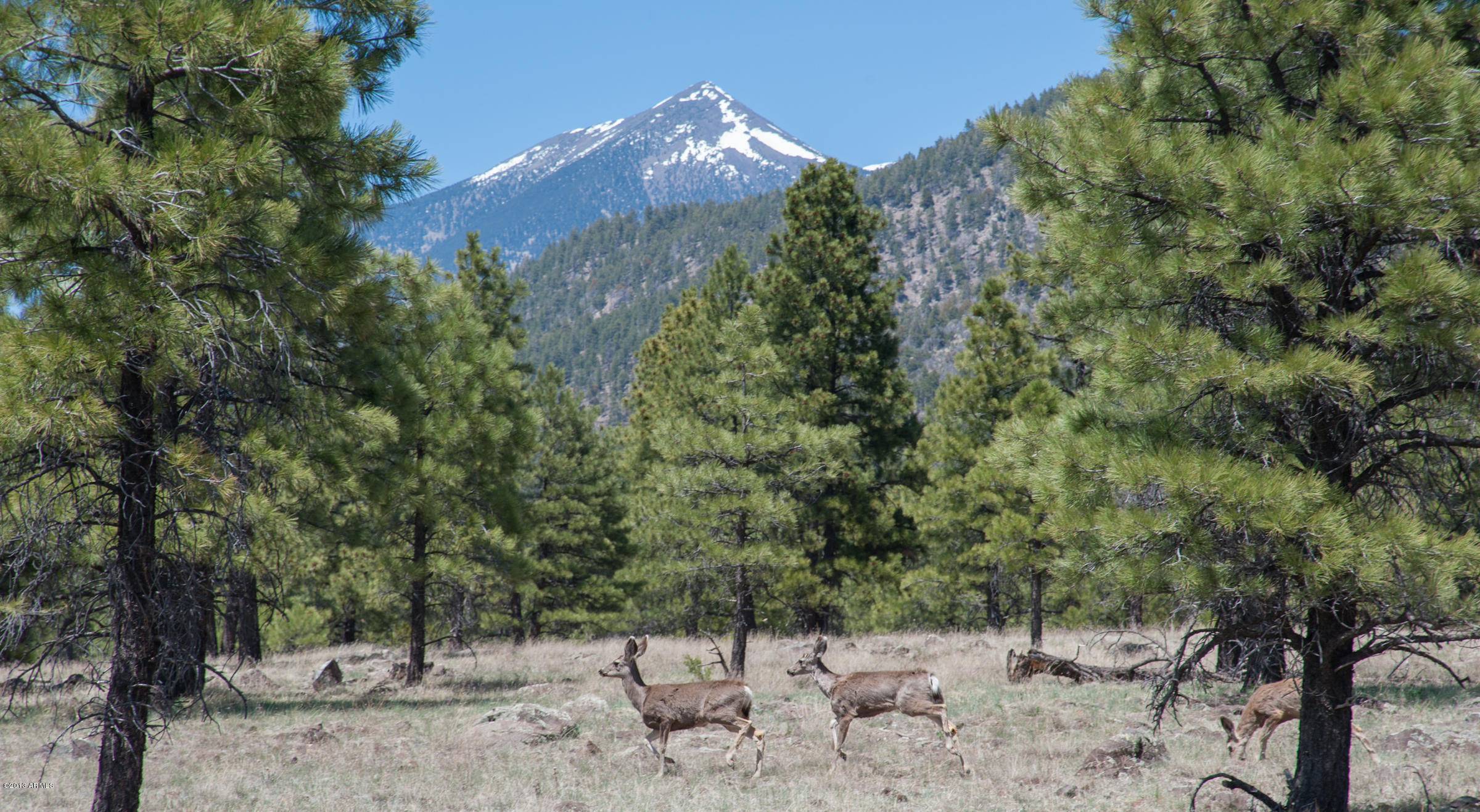0 North Lockett Ranches, Unit 15M Flagstaff, AZ 86001 - Photo 1 of 9 LR 15M