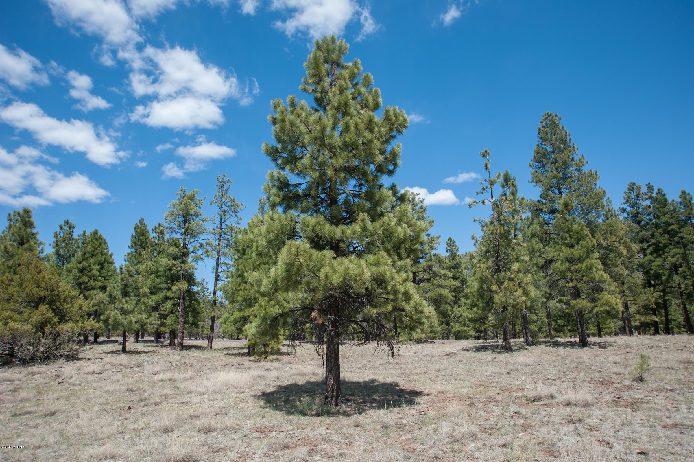 0 North Lockett Ranches, Unit 15M Flagstaff, AZ 86001 - Photo 2 of 9 20751730