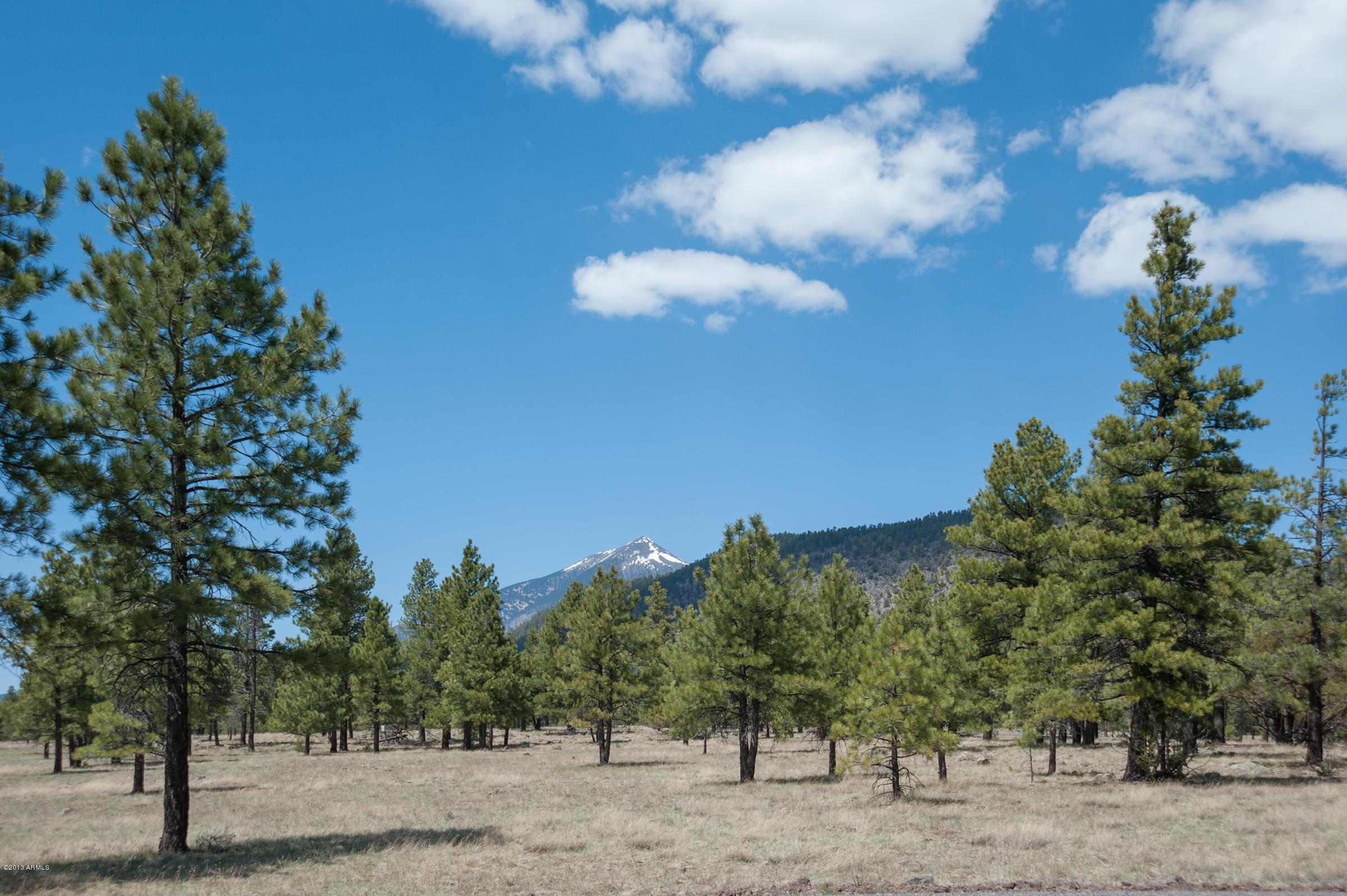 0 North Lockett Ranches, Unit 15M Flagstaff, AZ 86001 - Photo 3 of 9 20751695