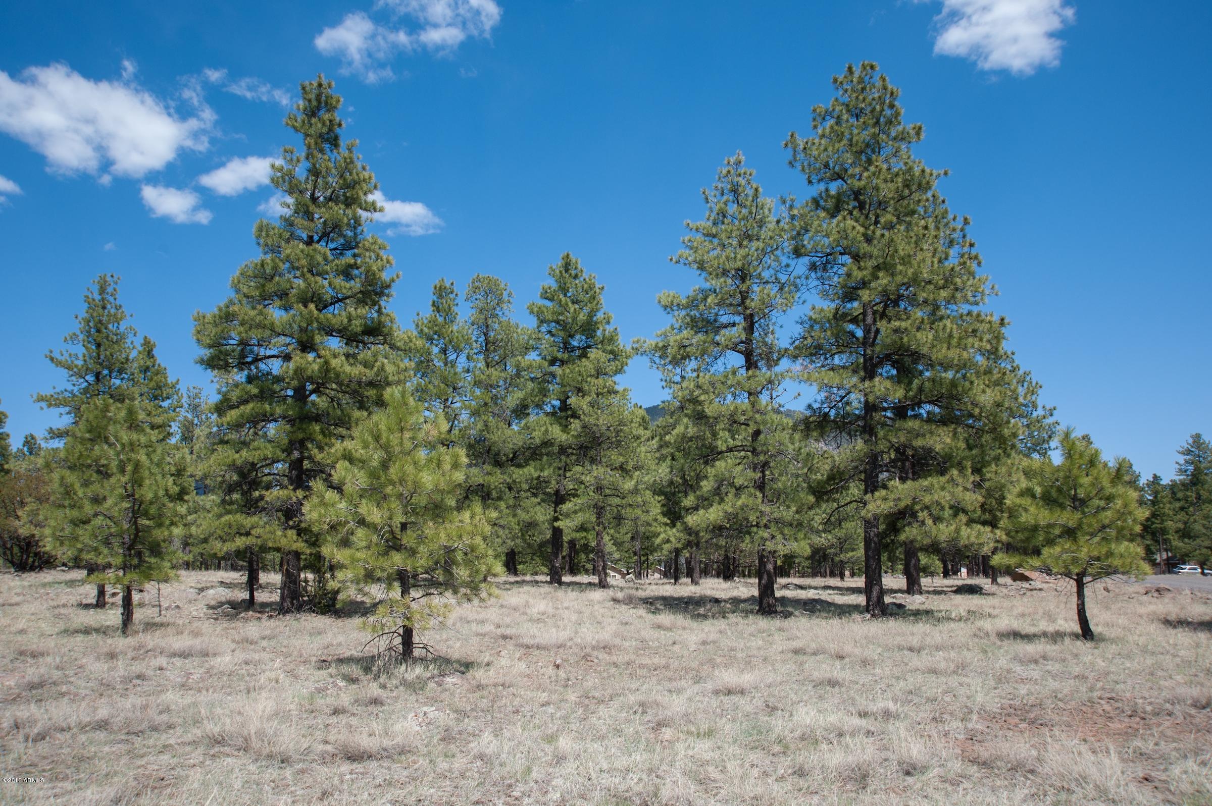 0 North Lockett Ranches, Unit 15M Flagstaff, AZ 86001 - Photo 4 of 9 20751693