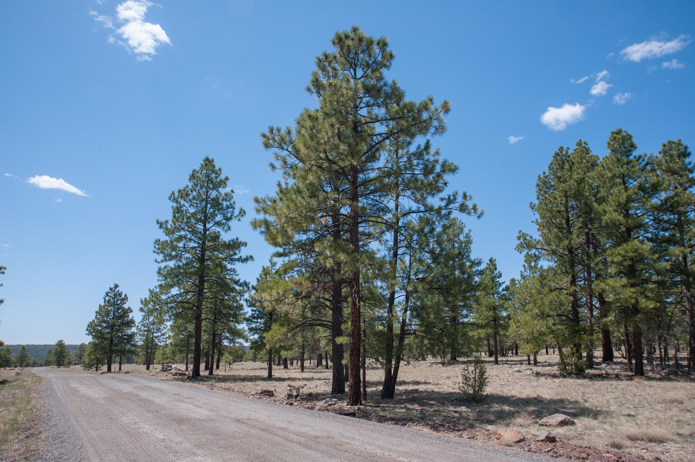 0 North Lockett Ranches, Unit 15M Flagstaff, AZ 86001 - Photo 5 of 9 20751696