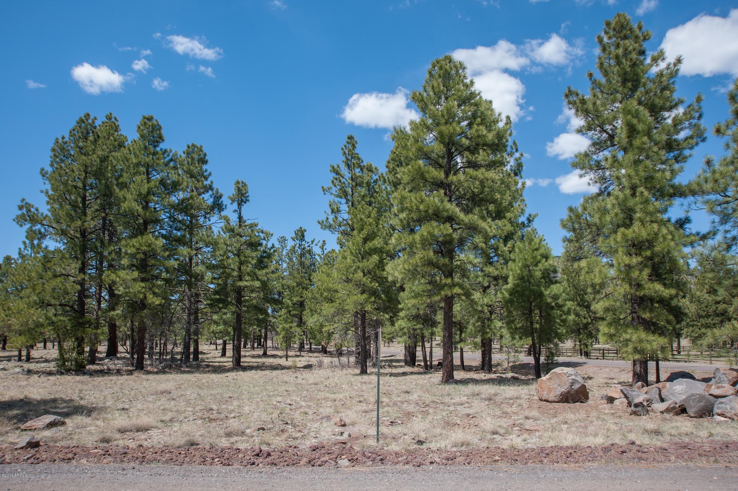 0 North Lockett Ranches, Unit 15M Flagstaff, AZ 86001 - Photo 6 of 9 20751697