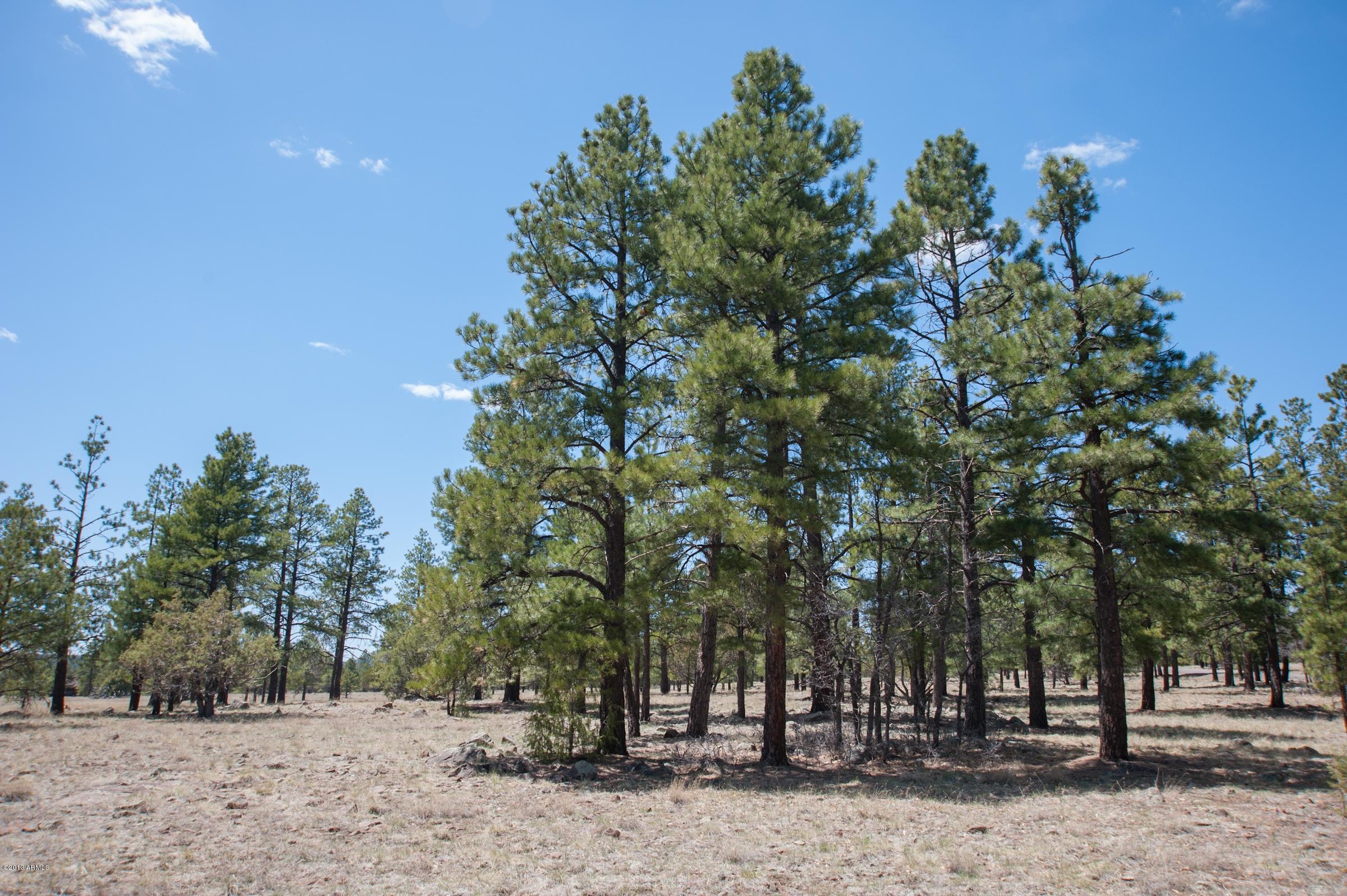 0 North Lockett Ranches, Unit 15M Flagstaff, AZ 86001 - Photo 7 of 9 20751698