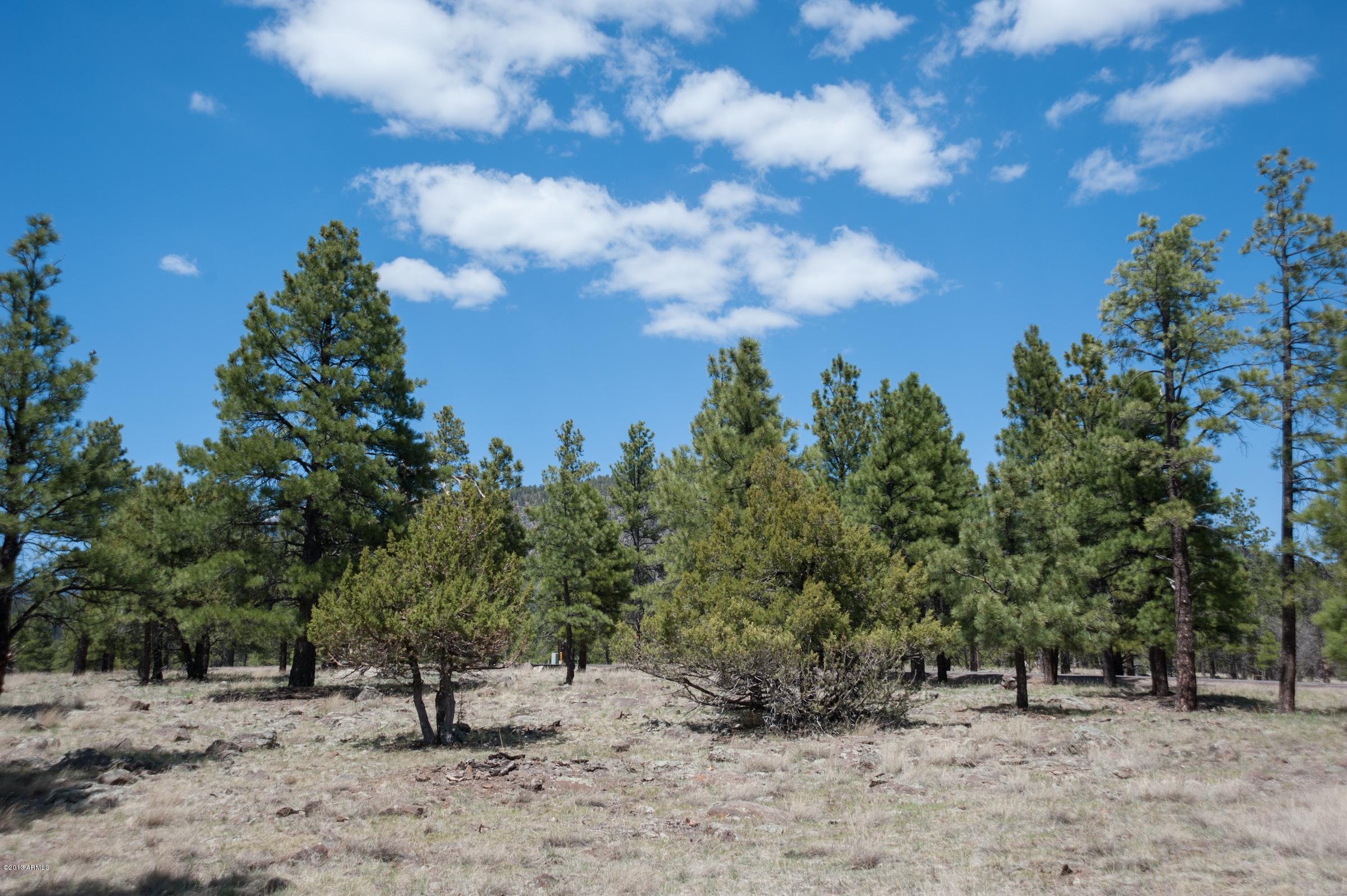 0 North Lockett Ranches, Unit 15M Flagstaff, AZ 86001 - Photo 8 of 9 20751700