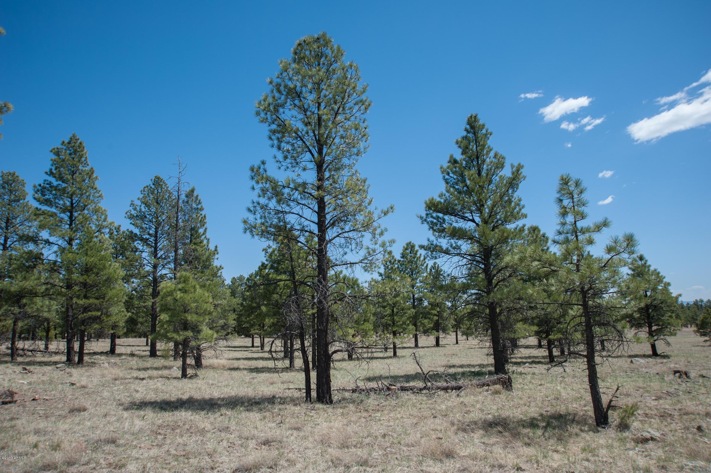 0 North Lockett Ranches, Unit 15M Flagstaff, AZ 86001 - Photo 9 of 9 20751701