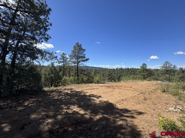 121 Engineer Point Pagosa Springs, CO 81147 - Photo 21 of 43