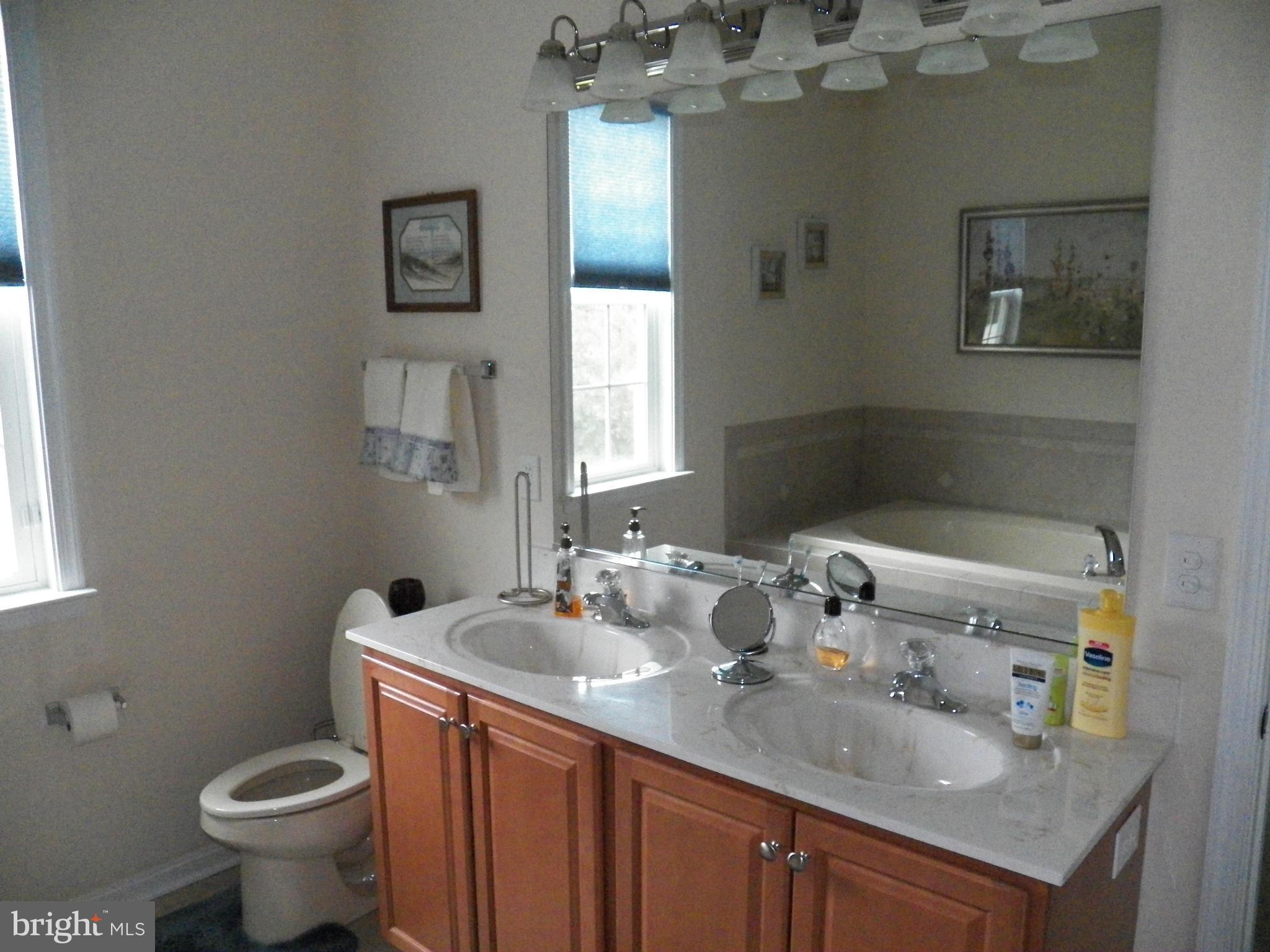 9700 Dyson Road Brandywine, MD 20613 - Photo 14 of 27 Bath (Master)