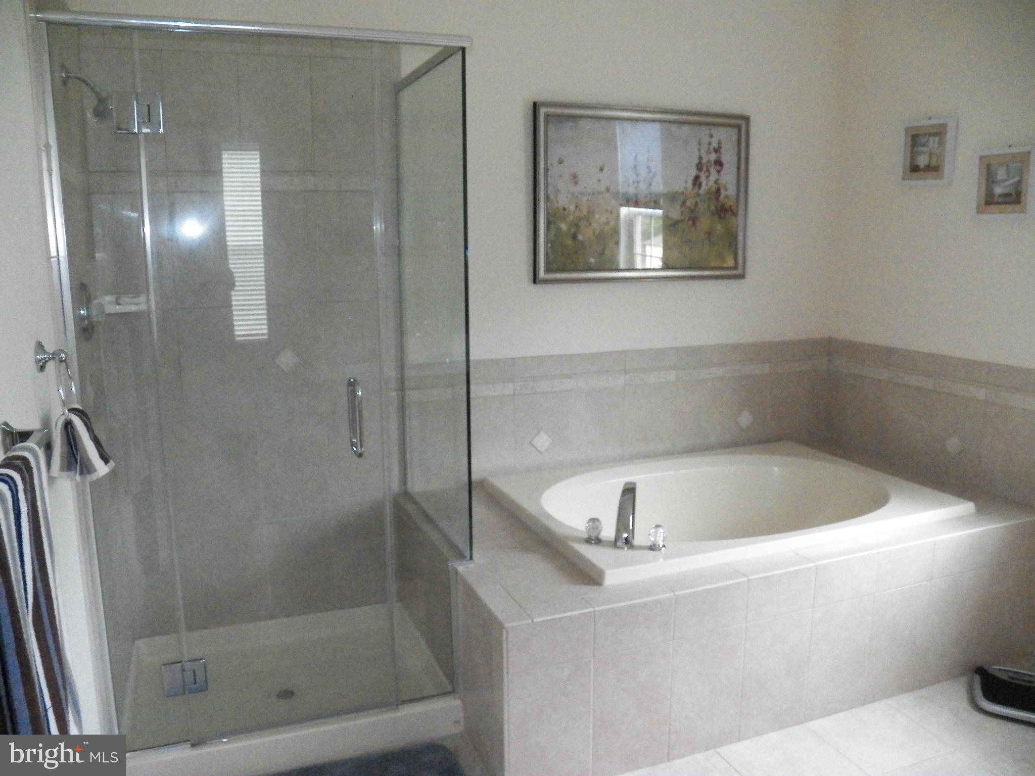 9700 Dyson Road Brandywine, MD 20613 - Photo 15 of 27 Bath (Master)