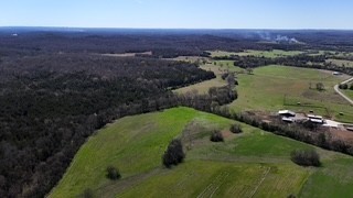 6790 Flat Creek Road College Grove, TN 37046 - Photo 7 of 26