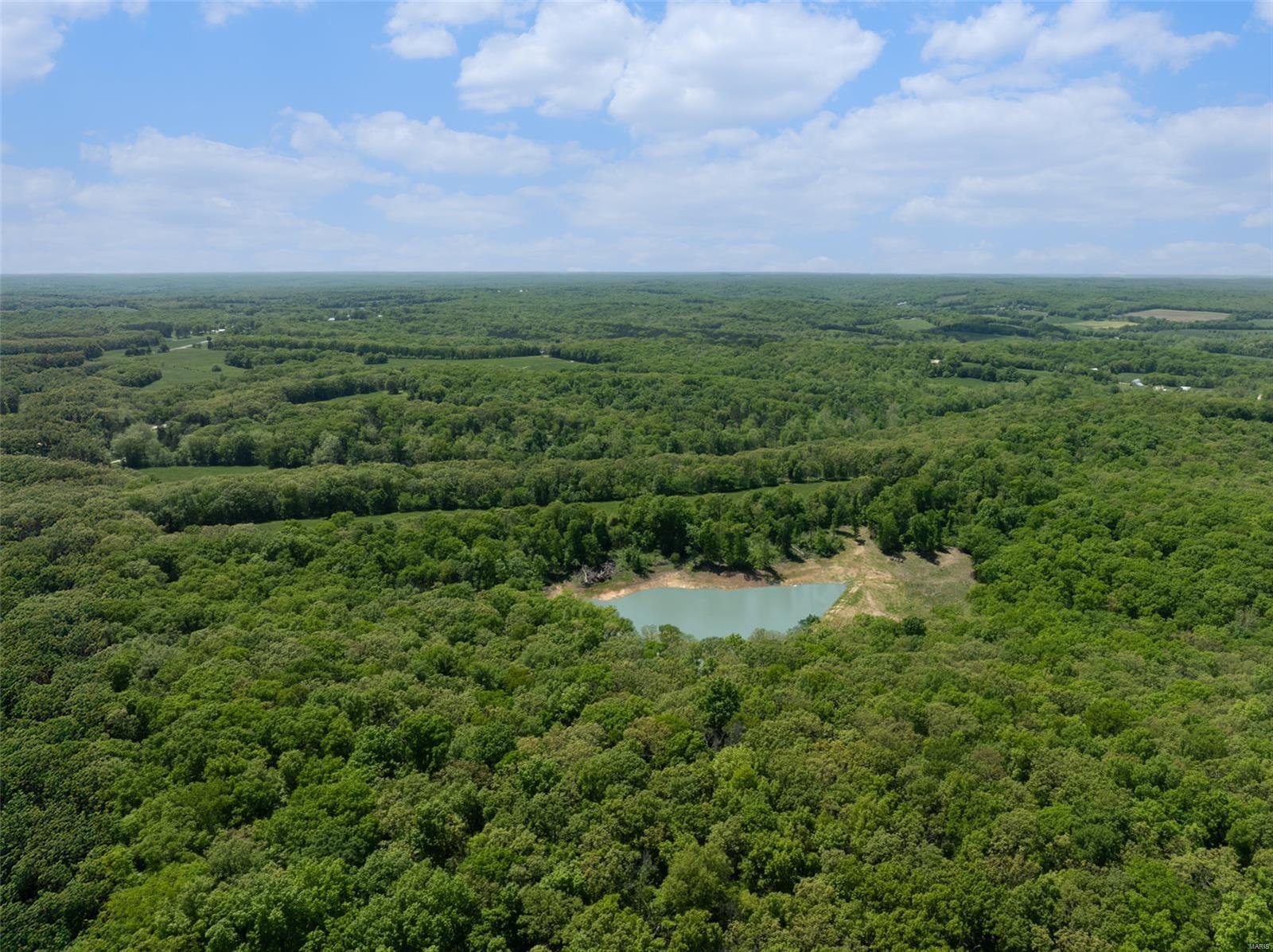 0 31.26 /- Ac Tract Road New Haven, MO 63068 - Photo 12 of 14