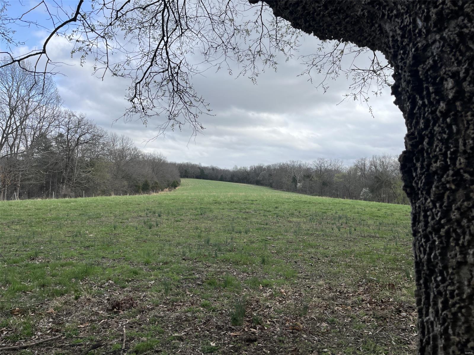 0 31.26 /- Ac Tract Road New Haven, MO 63068 - Photo 13 of 14