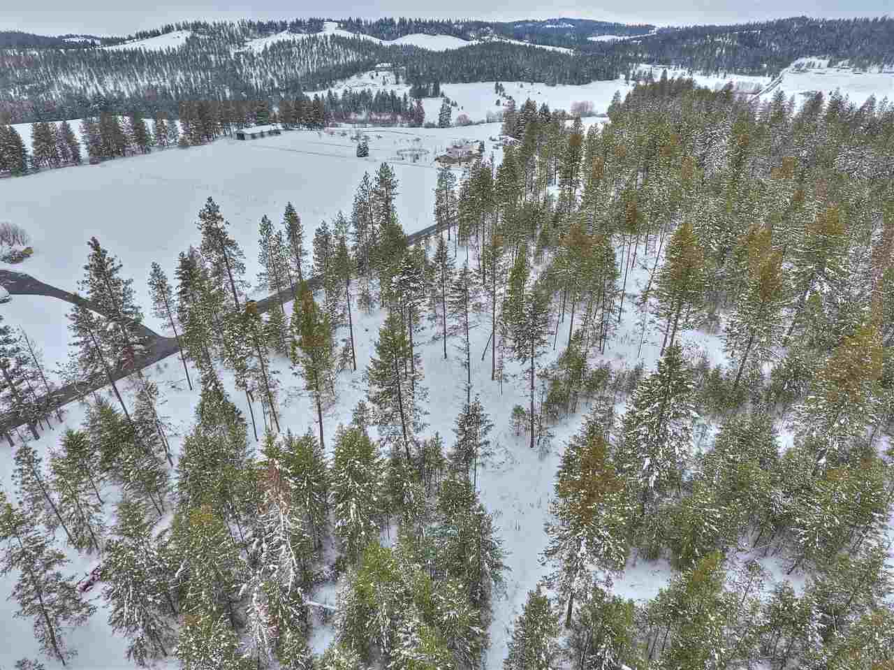 Xxxx East Bernhill Road Spokane, WA 99208 - Photo 14 of 20