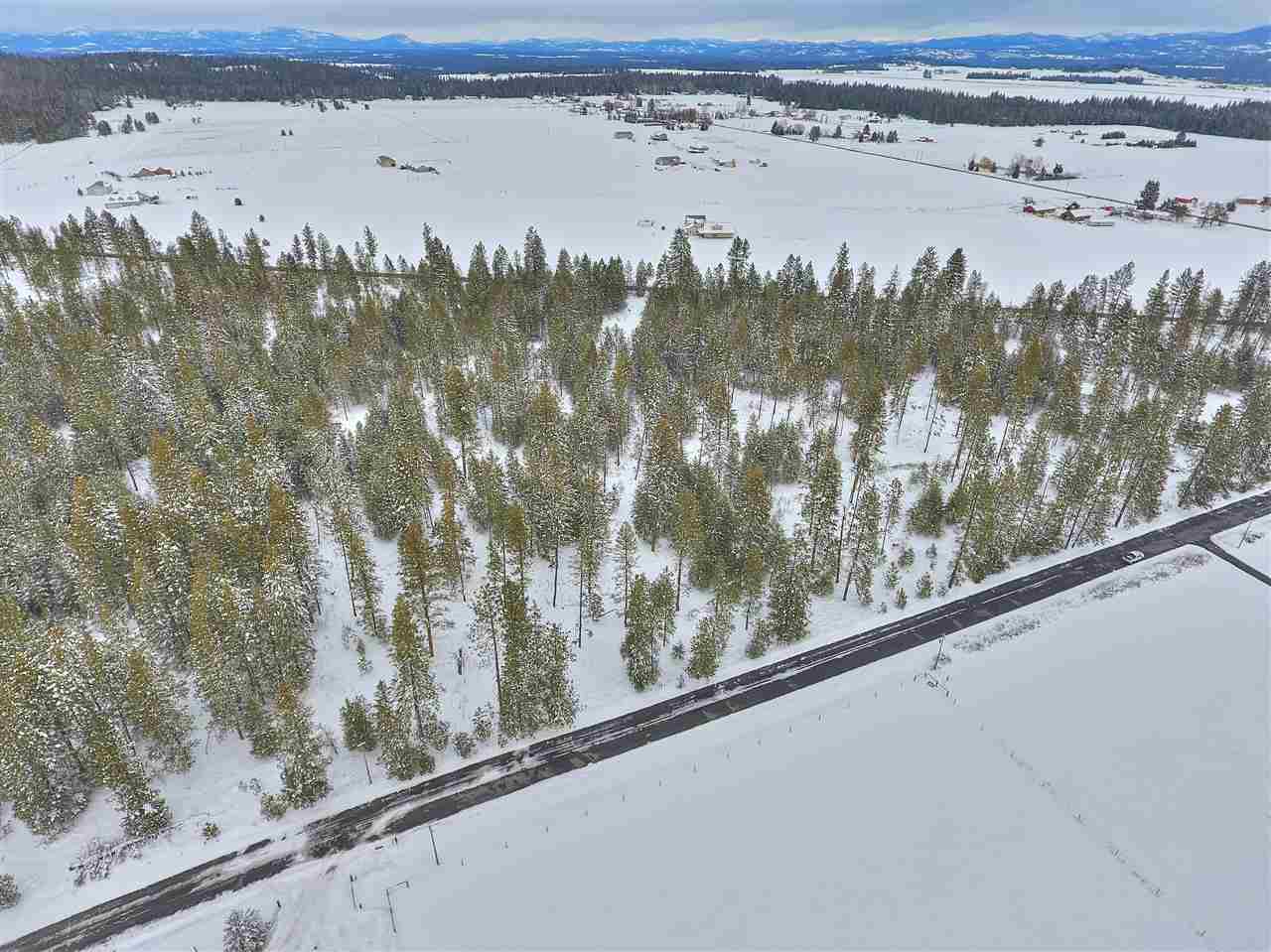 Xxxx East Bernhill Road Spokane, WA 99208 - Photo 5 of 20